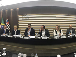 Ana Amélia Lemos fala sobre o atual momento político-econômico do Brasil